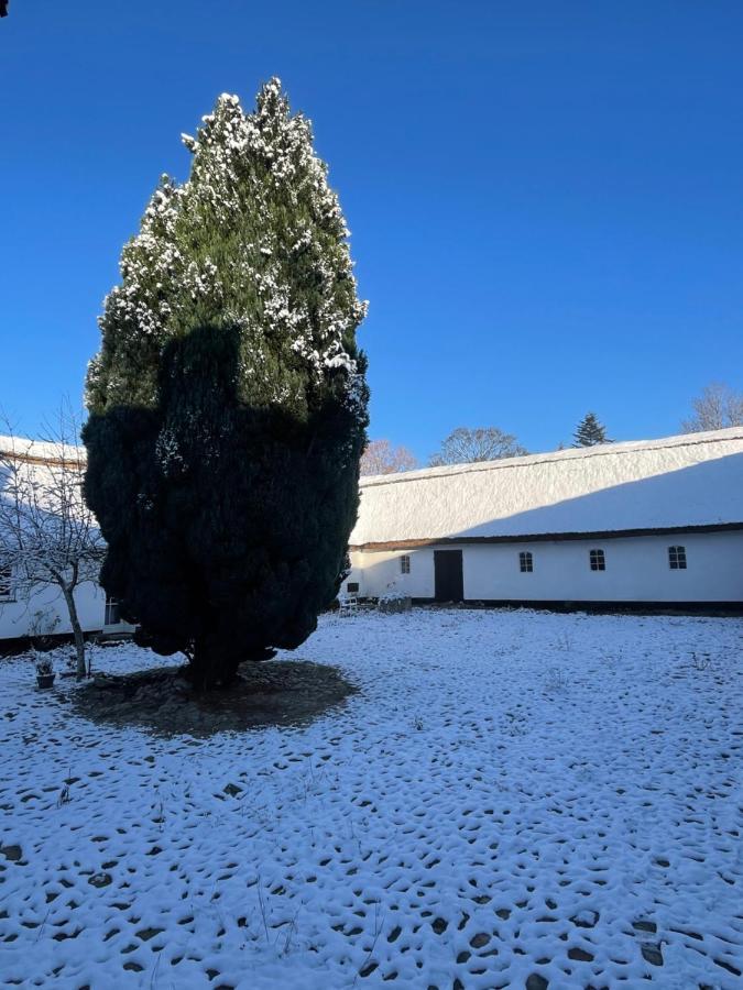 Apple Cottage Vejby Eksteriør billede