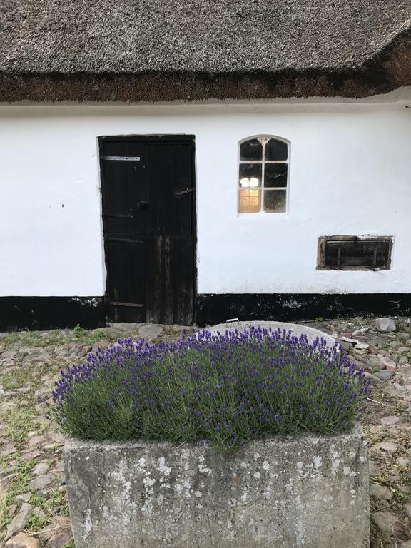 Apple Cottage Vejby Eksteriør billede