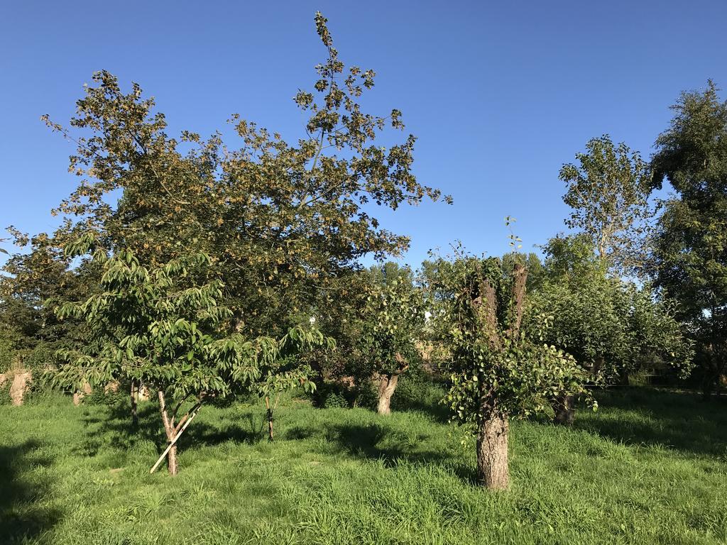 Apple Cottage Vejby Eksteriør billede