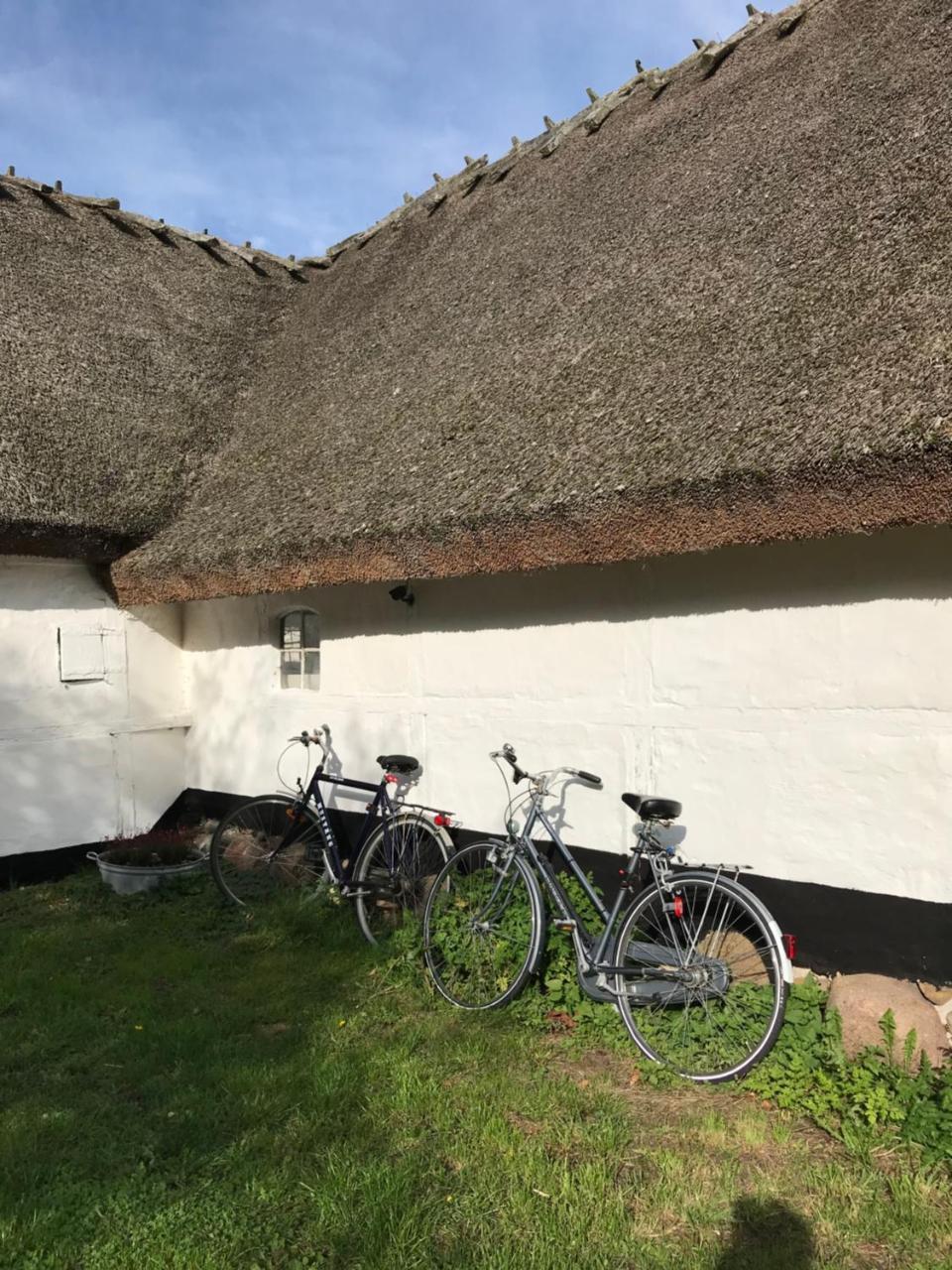 Apple Cottage Vejby Eksteriør billede